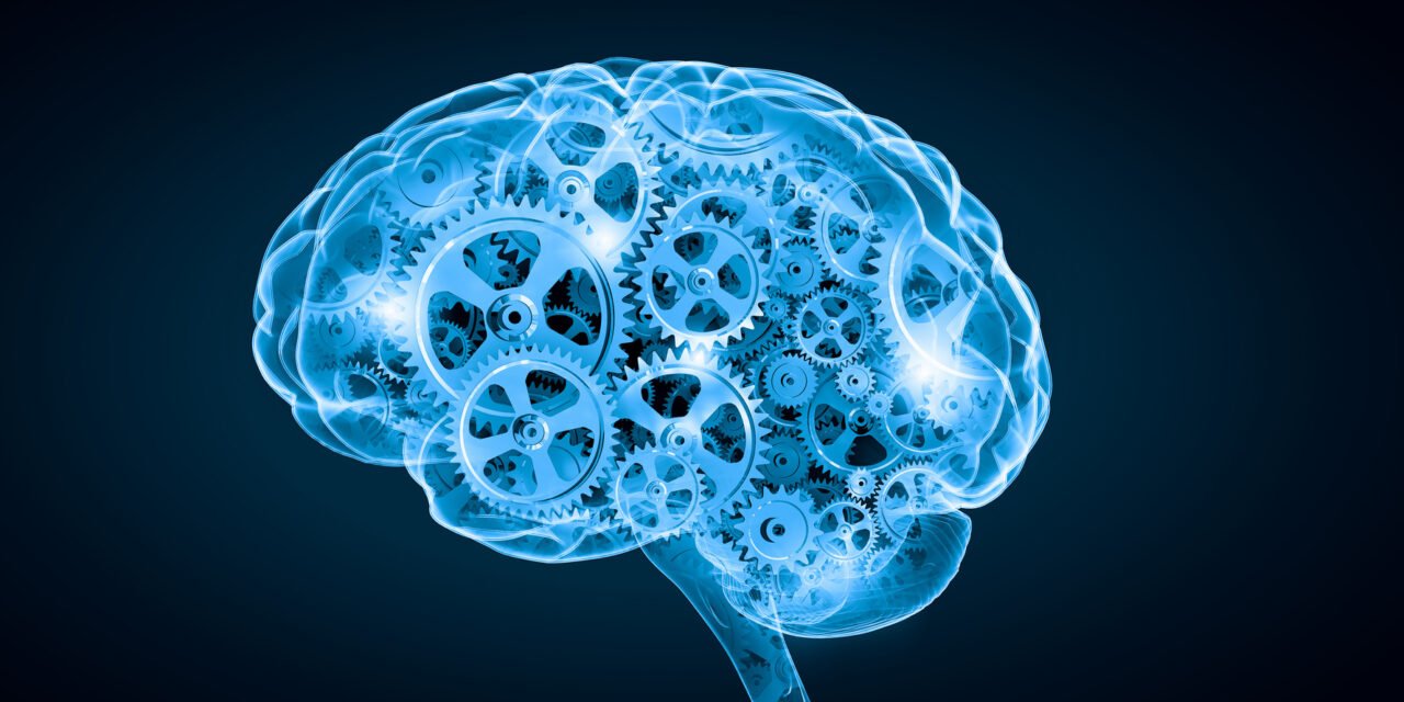 5 principes pour dynamiser votre cerveau